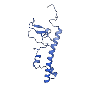 3551_5mrc_c_v1-2
Structure of the yeast mitochondrial ribosome - Class A