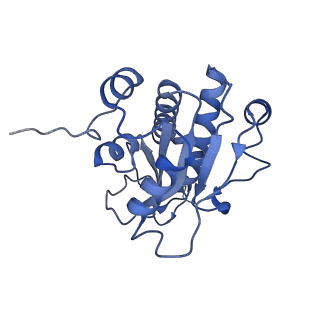 3551_5mrc_d_v1-2
Structure of the yeast mitochondrial ribosome - Class A