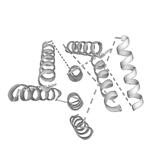 3551_5mrc_dd_v1-2
Structure of the yeast mitochondrial ribosome - Class A