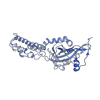 3552_5mre_1_v1-3
Structure of the yeast mitochondrial ribosome - Class B