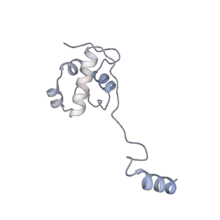 3552_5mre_22_v1-3
Structure of the yeast mitochondrial ribosome - Class B
