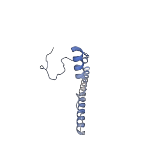 3552_5mre_2_v1-3
Structure of the yeast mitochondrial ribosome - Class B
