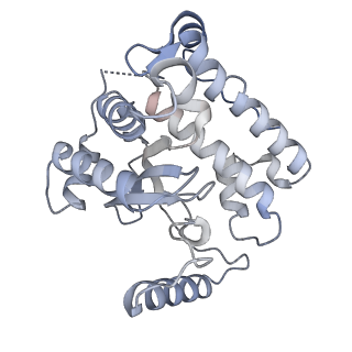 3552_5mre_33_v1-3
Structure of the yeast mitochondrial ribosome - Class B