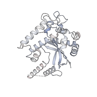 3552_5mre_44_v1-3
Structure of the yeast mitochondrial ribosome - Class B