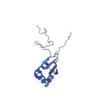 3552_5mre_4_v1-3
Structure of the yeast mitochondrial ribosome - Class B