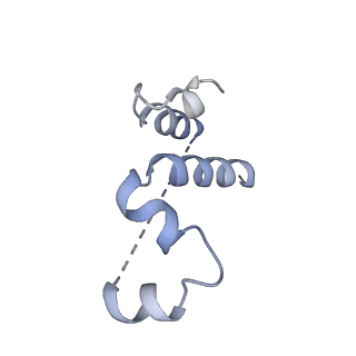 3552_5mre_55_v1-3
Structure of the yeast mitochondrial ribosome - Class B