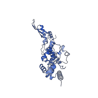 3552_5mre_5_v1-3
Structure of the yeast mitochondrial ribosome - Class B