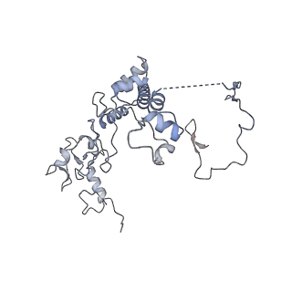 3552_5mre_66_v1-3
Structure of the yeast mitochondrial ribosome - Class B