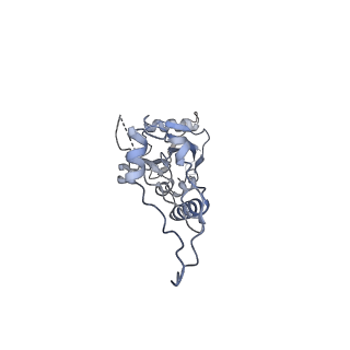 3552_5mre_6_v1-3
Structure of the yeast mitochondrial ribosome - Class B
