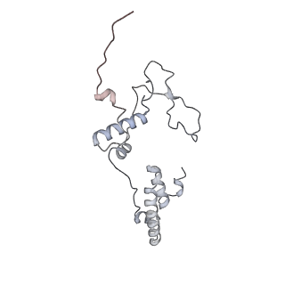 3552_5mre_77_v1-3
Structure of the yeast mitochondrial ribosome - Class B