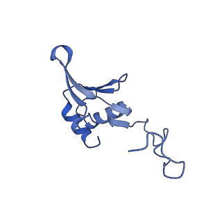3552_5mre_7_v1-3
Structure of the yeast mitochondrial ribosome - Class B