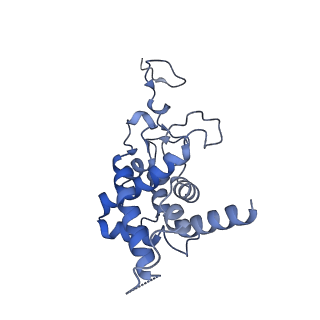 3552_5mre_9_v1-3
Structure of the yeast mitochondrial ribosome - Class B