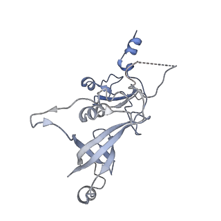 3552_5mre_AA_v1-3
Structure of the yeast mitochondrial ribosome - Class B