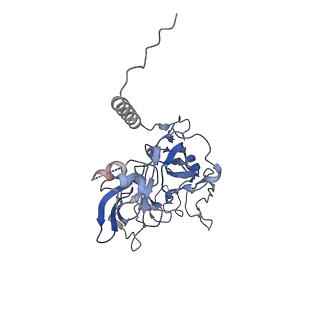 3552_5mre_B_v1-3
Structure of the yeast mitochondrial ribosome - Class B