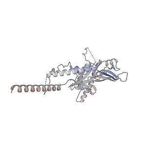 3552_5mre_CC_v1-3
Structure of the yeast mitochondrial ribosome - Class B