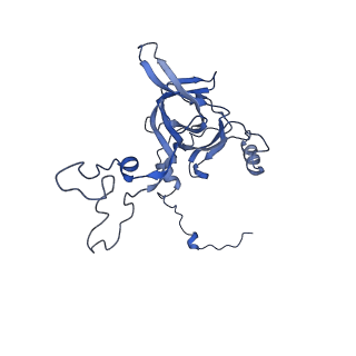 3552_5mre_C_v1-3
Structure of the yeast mitochondrial ribosome - Class B