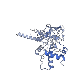 3552_5mre_DD_v1-3
Structure of the yeast mitochondrial ribosome - Class B