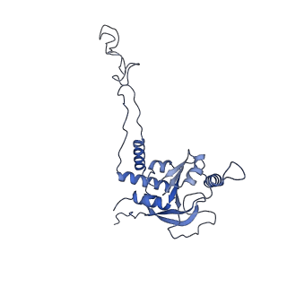3552_5mre_D_v1-3
Structure of the yeast mitochondrial ribosome - Class B