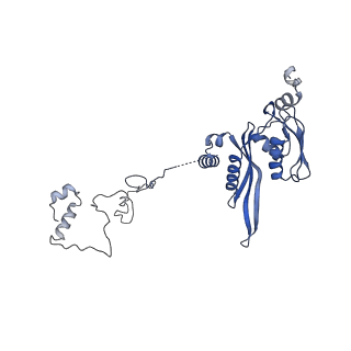 3552_5mre_EE_v1-3
Structure of the yeast mitochondrial ribosome - Class B