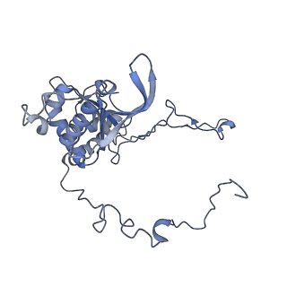 3552_5mre_E_v1-3
Structure of the yeast mitochondrial ribosome - Class B