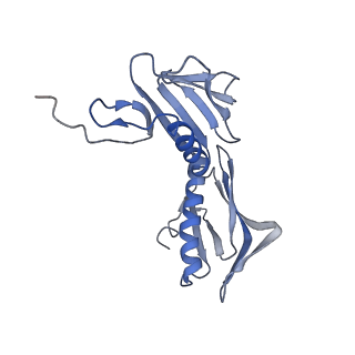 3552_5mre_F_v1-3
Structure of the yeast mitochondrial ribosome - Class B