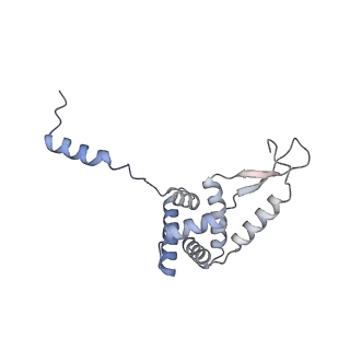 3552_5mre_GG_v1-3
Structure of the yeast mitochondrial ribosome - Class B