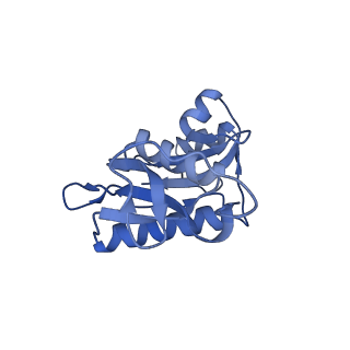 3552_5mre_HH_v1-3
Structure of the yeast mitochondrial ribosome - Class B