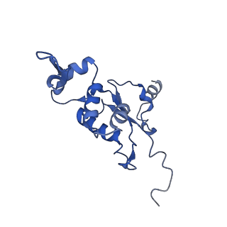 3552_5mre_H_v1-3
Structure of the yeast mitochondrial ribosome - Class B