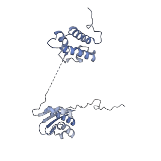 3552_5mre_II_v1-3
Structure of the yeast mitochondrial ribosome - Class B