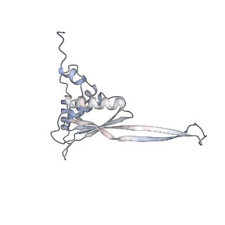3552_5mre_JJ_v1-3
Structure of the yeast mitochondrial ribosome - Class B