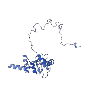 3552_5mre_J_v1-3
Structure of the yeast mitochondrial ribosome - Class B