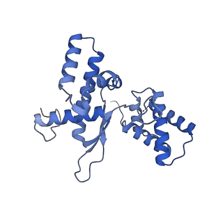 3552_5mre_L_v1-3
Structure of the yeast mitochondrial ribosome - Class B