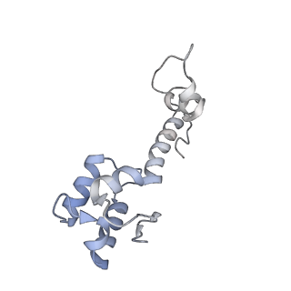 3552_5mre_MM_v1-3
Structure of the yeast mitochondrial ribosome - Class B