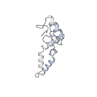 3552_5mre_NN_v1-3
Structure of the yeast mitochondrial ribosome - Class B