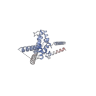 3552_5mre_OO_v1-3
Structure of the yeast mitochondrial ribosome - Class B