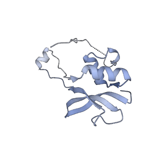 3552_5mre_PP_v1-3
Structure of the yeast mitochondrial ribosome - Class B