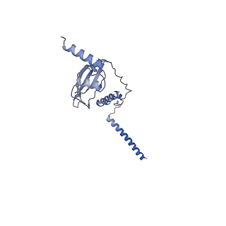 3552_5mre_P_v1-3
Structure of the yeast mitochondrial ribosome - Class B