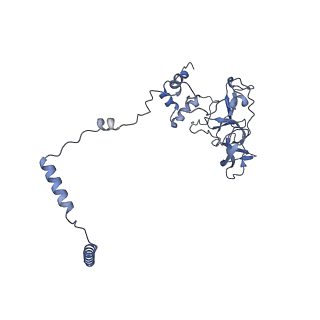 3552_5mre_Q_v1-3
Structure of the yeast mitochondrial ribosome - Class B