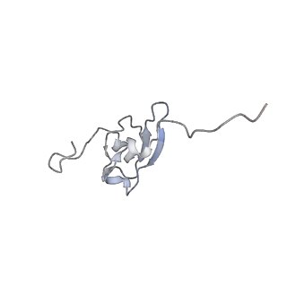 3552_5mre_SS_v1-3
Structure of the yeast mitochondrial ribosome - Class B