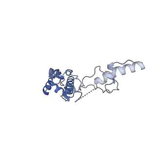 3552_5mre_S_v1-3
Structure of the yeast mitochondrial ribosome - Class B