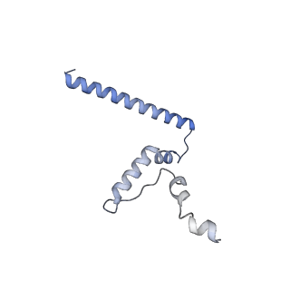 3552_5mre_TT_v1-3
Structure of the yeast mitochondrial ribosome - Class B