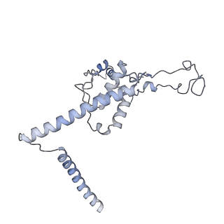 3552_5mre_UU_v1-3
Structure of the yeast mitochondrial ribosome - Class B