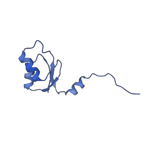 3552_5mre_U_v1-3
Structure of the yeast mitochondrial ribosome - Class B