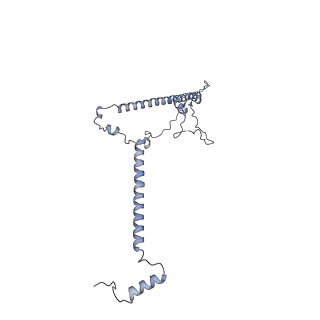 3552_5mre_VV_v1-3
Structure of the yeast mitochondrial ribosome - Class B