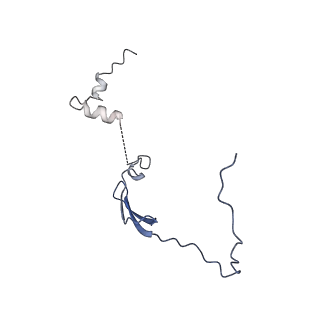 3552_5mre_V_v1-3
Structure of the yeast mitochondrial ribosome - Class B
