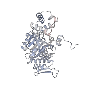 3552_5mre_WW_v1-3
Structure of the yeast mitochondrial ribosome - Class B