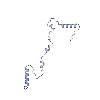 3552_5mre_XX_v1-3
Structure of the yeast mitochondrial ribosome - Class B