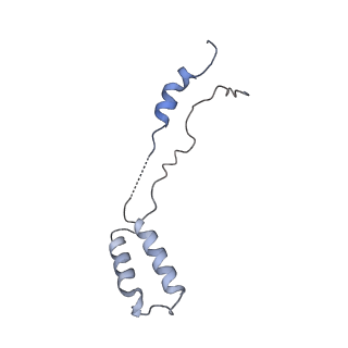 3552_5mre_ZZ_v1-3
Structure of the yeast mitochondrial ribosome - Class B