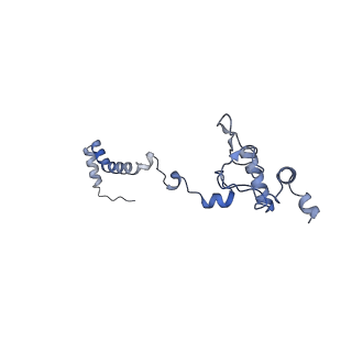 3552_5mre_b_v1-3
Structure of the yeast mitochondrial ribosome - Class B