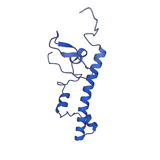 3552_5mre_c_v1-3
Structure of the yeast mitochondrial ribosome - Class B